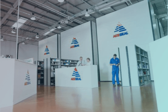 AESSEAL 4