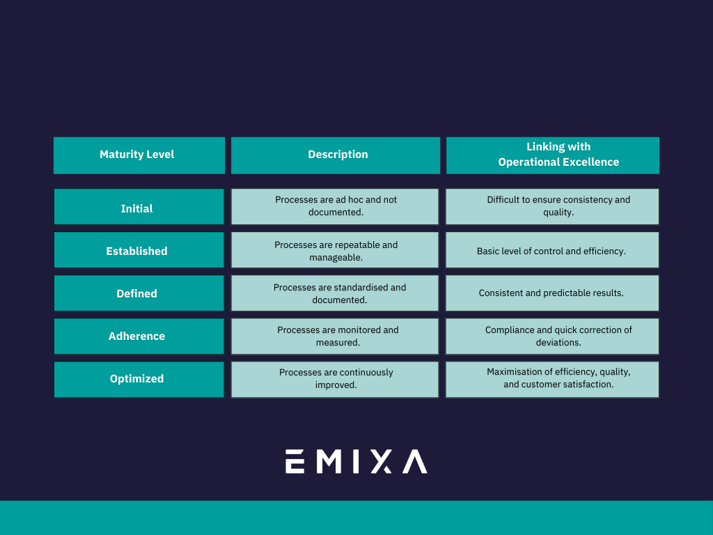 BPM maturity level (3)