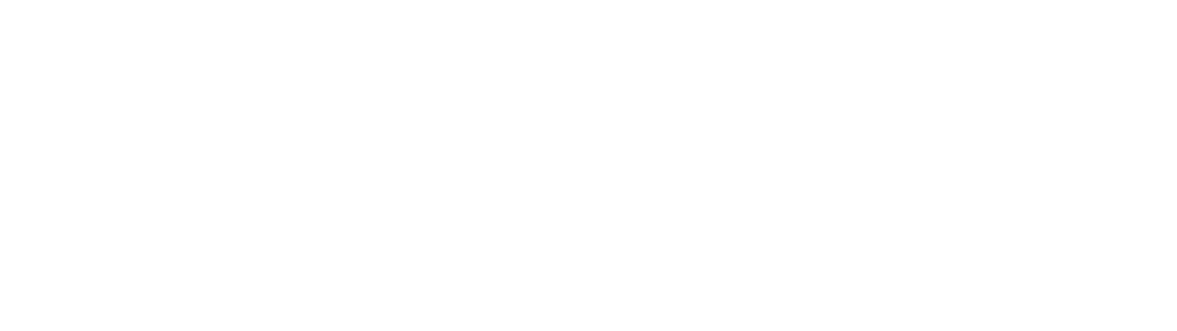 BAM-Logo-White