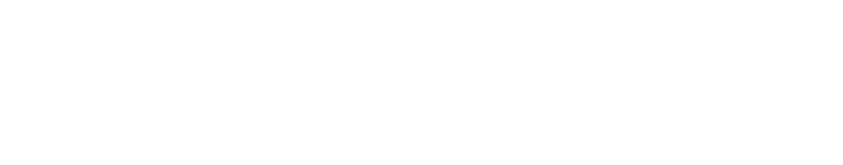 Estun-Logo-White