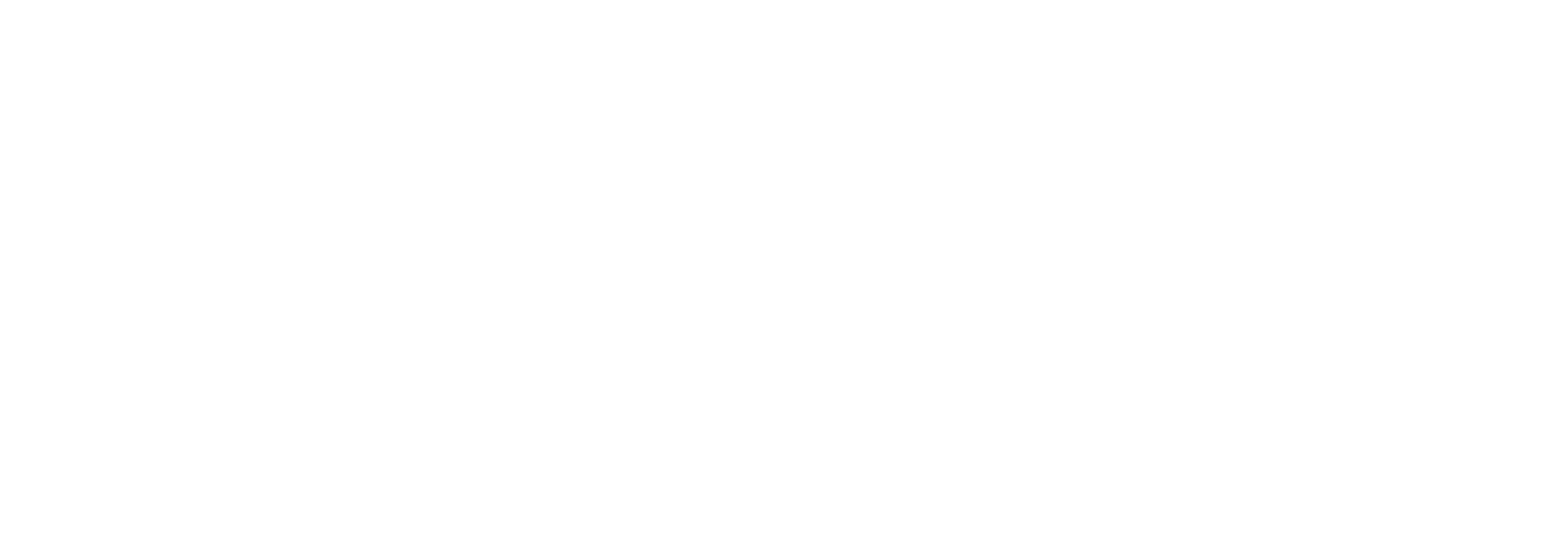 Mevi-Logo-Wit