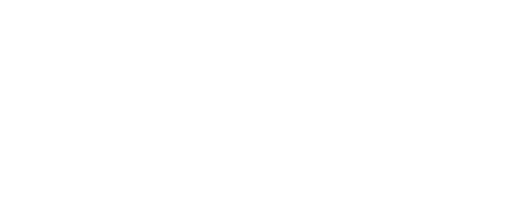 NS-Logo-White