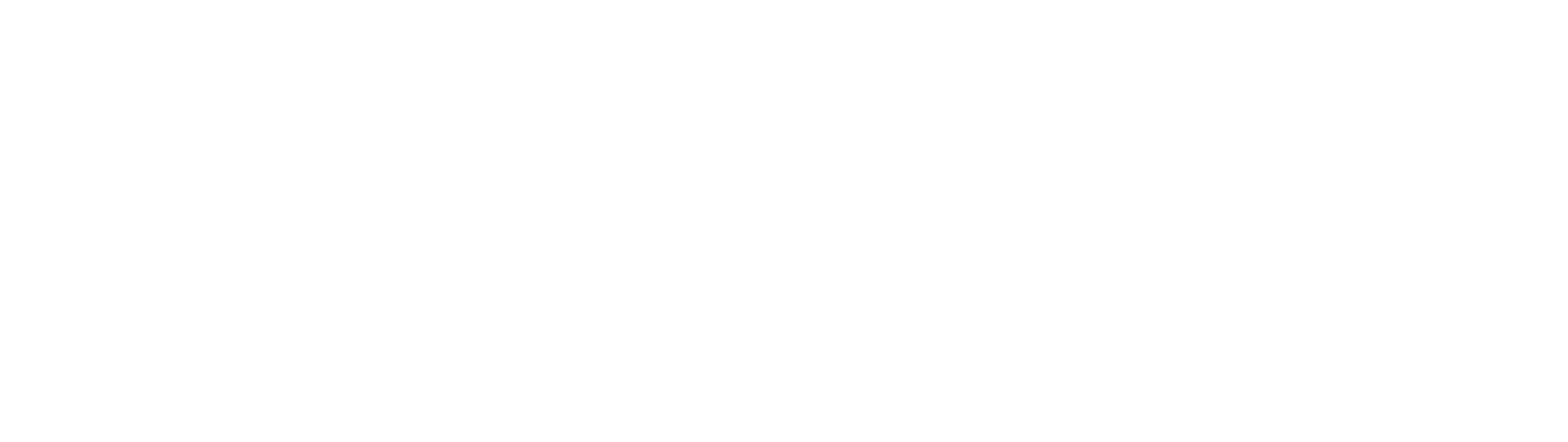 Project-Insights-Wholesale-&-Trading-Logo-White