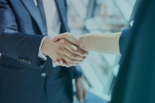 Implementation services – Program & Project management