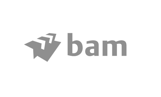logoBAM-1