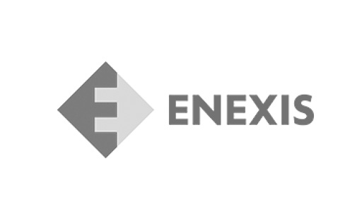 logoEnexis