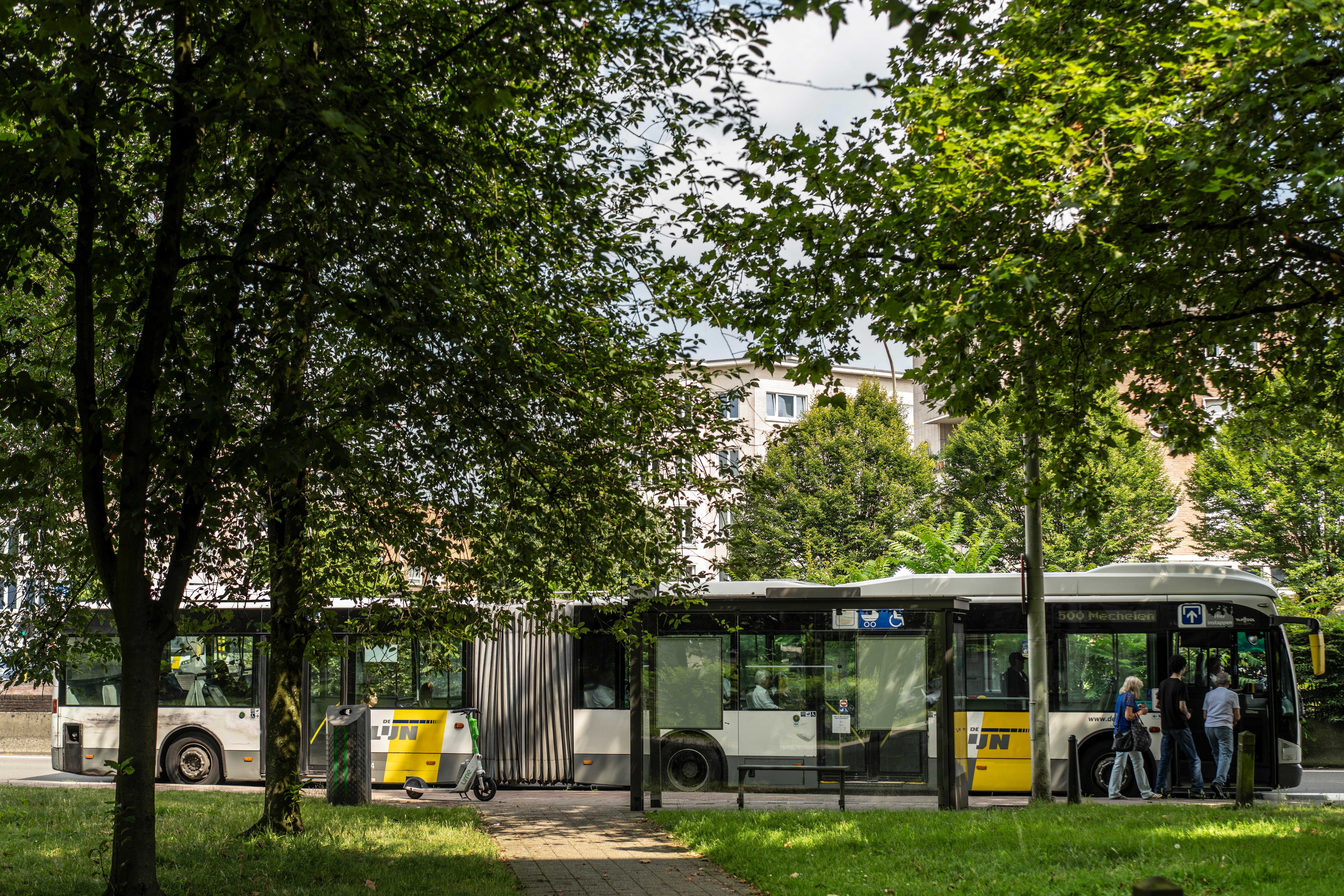 Geledebus-1