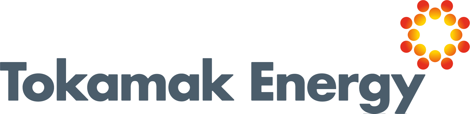 tokamak_logo