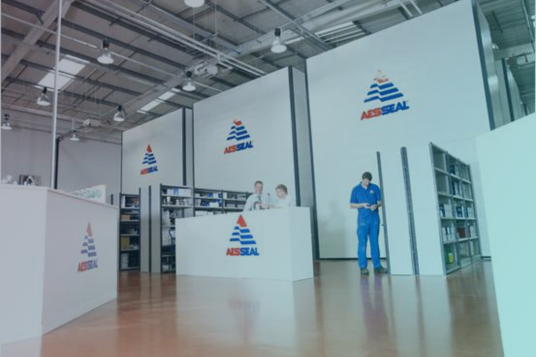 AESSEAL 4