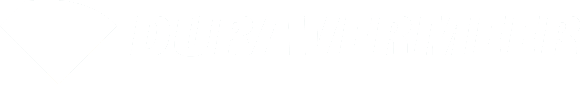 Dura Vermeer logo (1)
