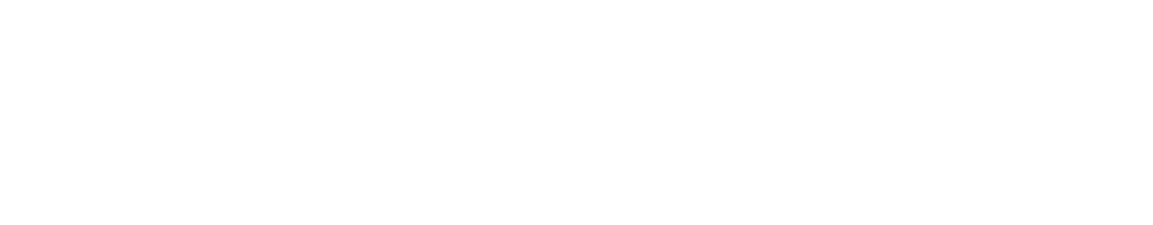 Autohopper-Logo-White