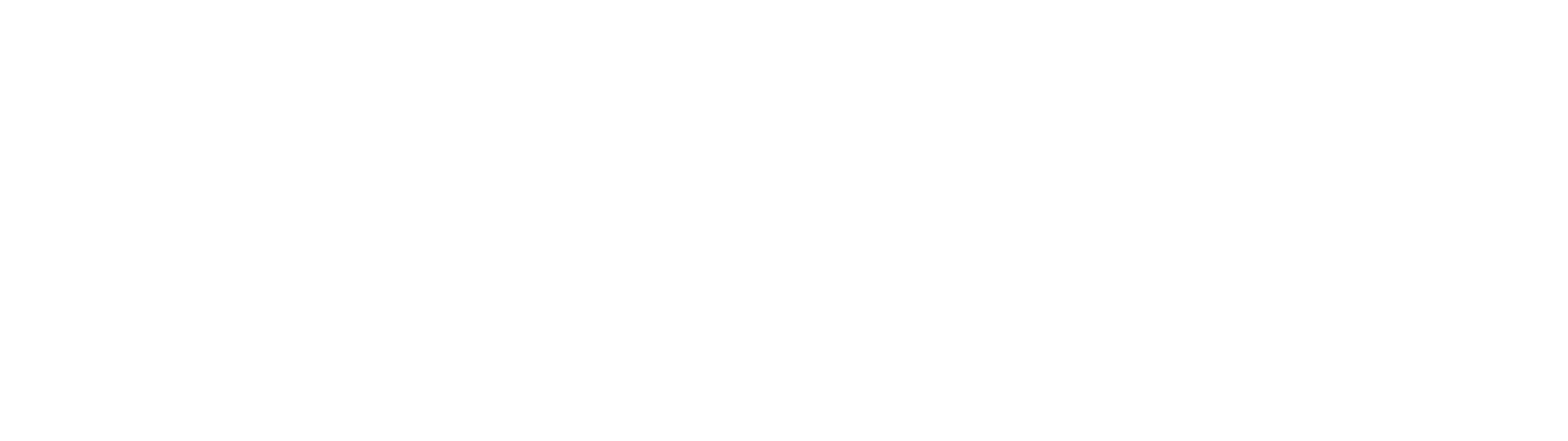 BAM-Logo-White