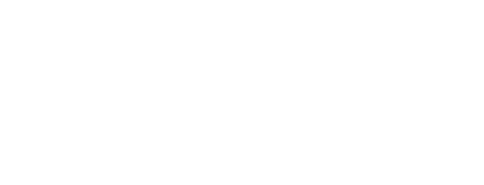 BD-Logo-White