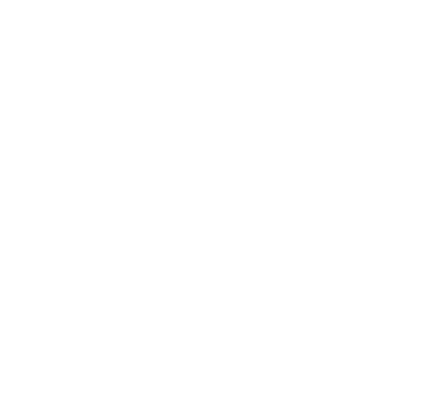 De-Lijn-Logo-White