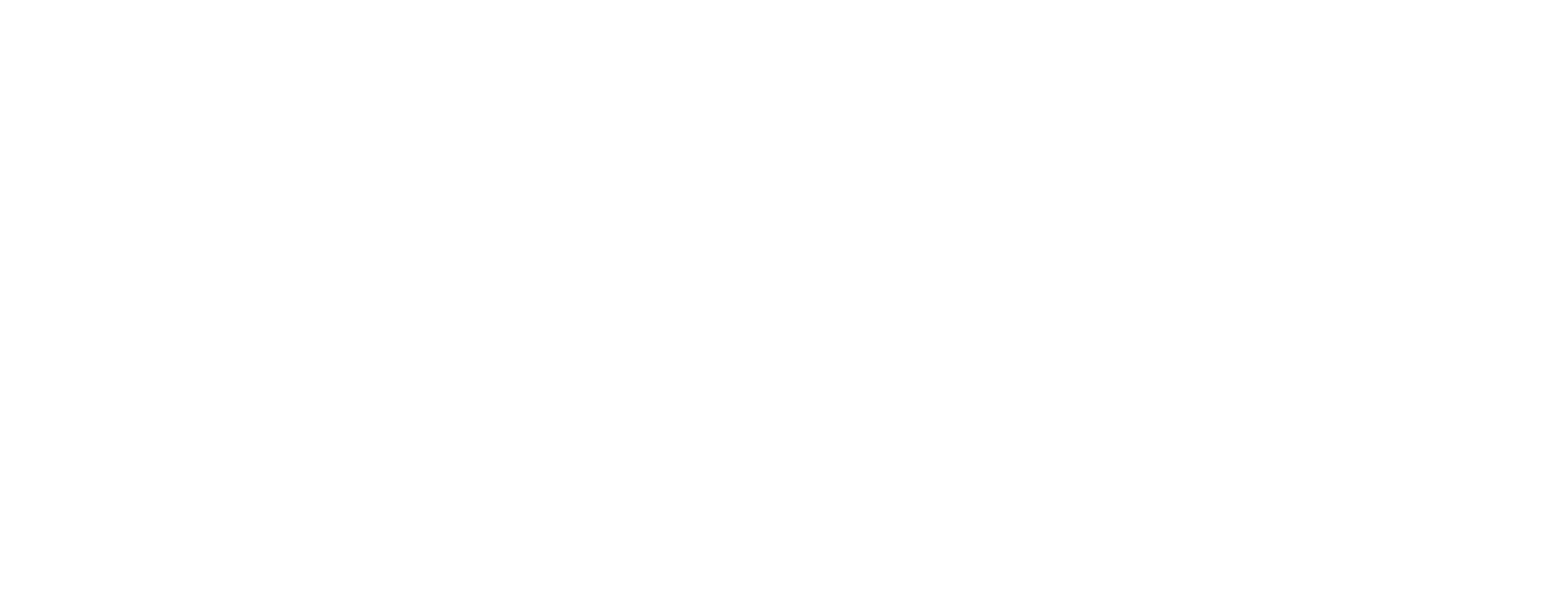 Enexis-Logo-White