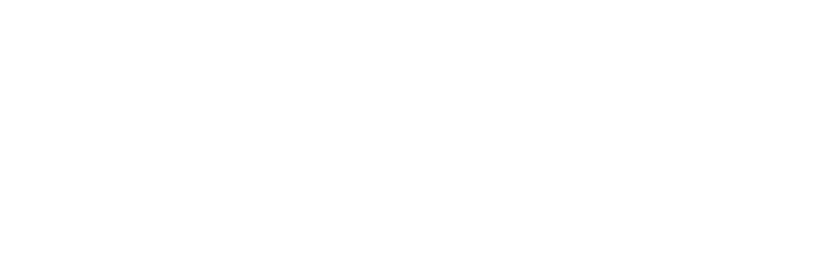 Jan Snel Company Logo
