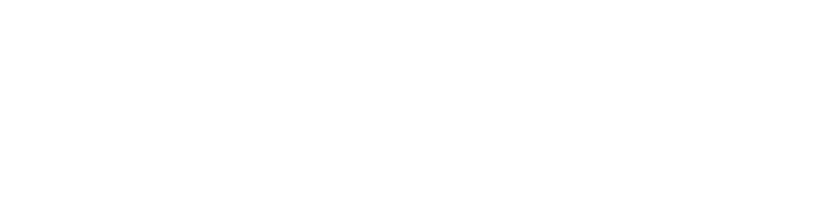 Mainplus-Logo-White