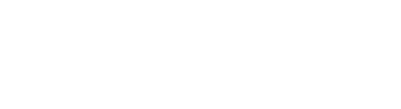 Medexs-Logo-White