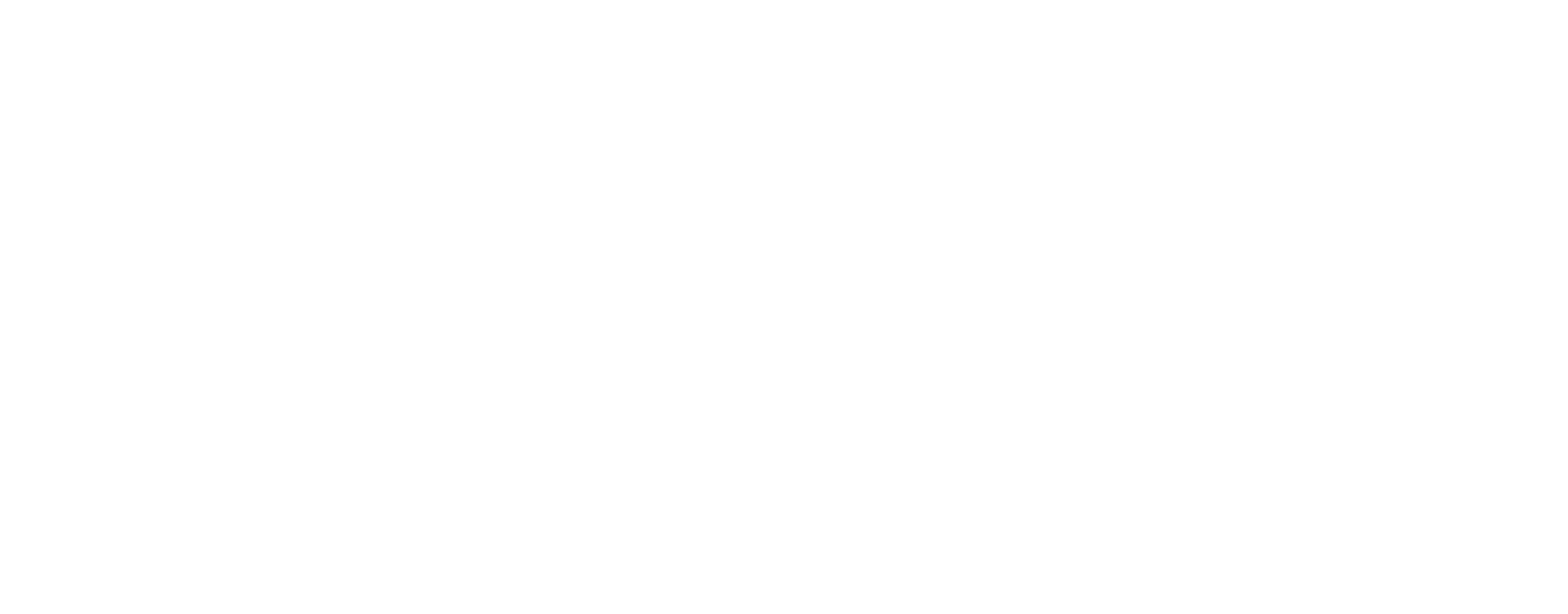 NS-Logo-White