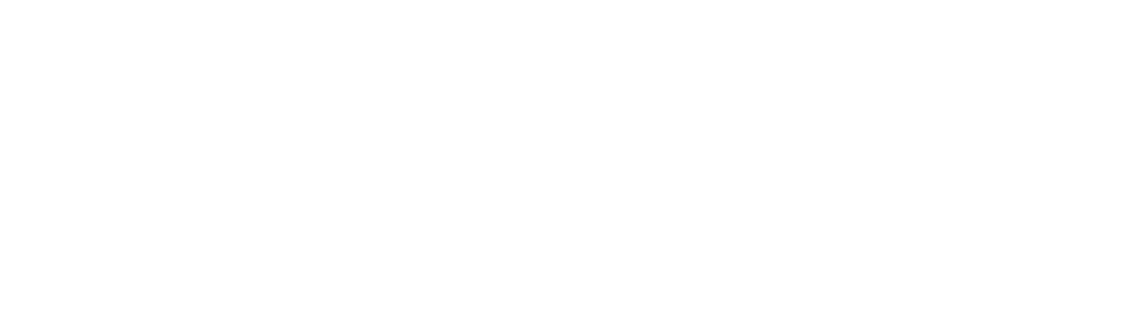 Nikon-White-Logo