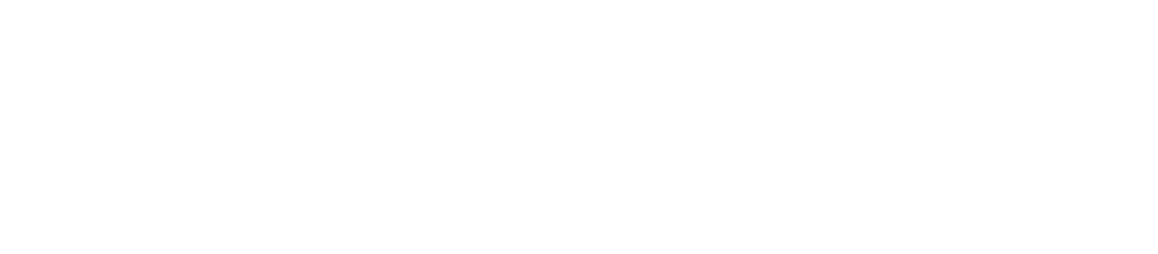 Planet-Dryers-Logo-White