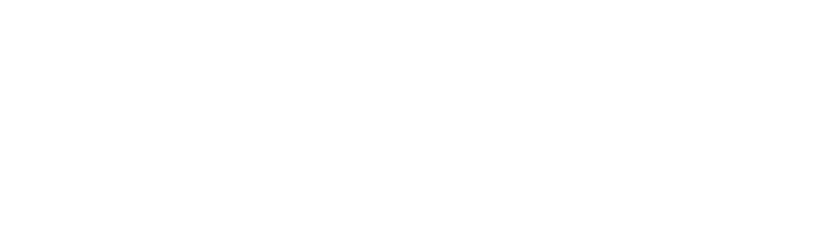 Project-Insights-Wholesale-&-Trading-Logo-White