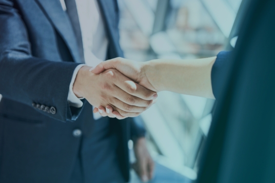 Implementation services – Program & Project management