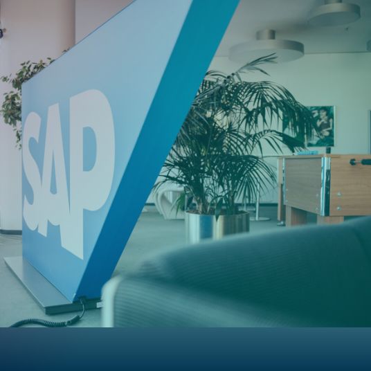 SU-SO SAP ERP expertise