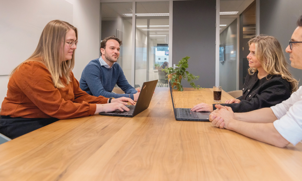 Management Consulting Team 