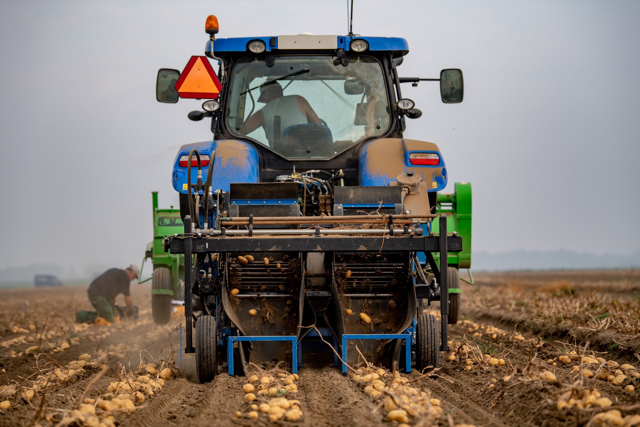 harvest-1