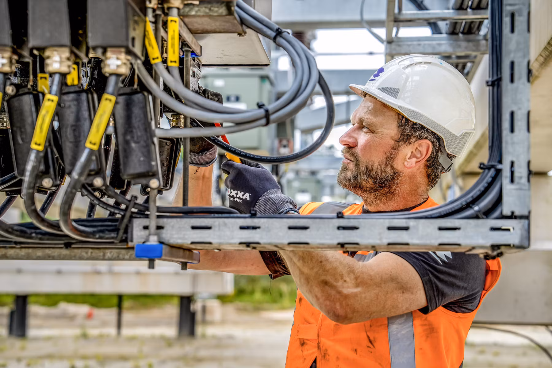 Croonwolter&dros Achieve ERP Success in Record Time with SAP